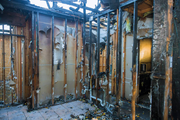 Professional Fire Damage Removal technician working in Tucson Mountains, AZ